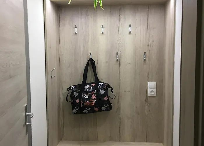 Jeseniky Cislo 5 Apartman