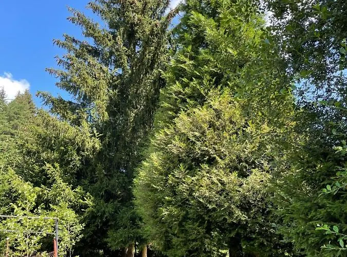 Apartman Jeseniky Cislo 5 Nové Losiny